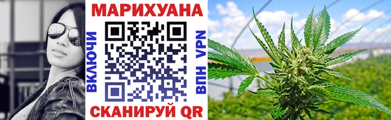 Конопля OG Kush  Гагарин 